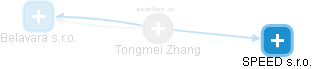  Tongmei Z. - Vizualizace  propojení osoby a firem v obchodním rejstříku