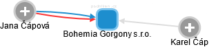 Bohemia Gorgony s.r.o. - obrázek vizuálního zobrazení vztahů obchodního rejstříku
