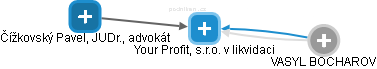 Your Profit, s.r.o. v likvidaci - obrázek vizuálního zobrazení vztahů obchodního rejstříku