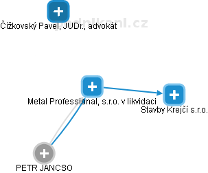 Metal Professional, s.r.o. v likvidaci - obrázek vizuálního zobrazení vztahů obchodního rejstříku