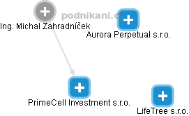 PrimeCell Investment s.r.o. - obrázek vizuálního zobrazení vztahů obchodního rejstříku