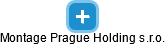 Montage Prague Holding s.r.o. - obrázek vizuálního zobrazení vztahů obchodního rejstříku