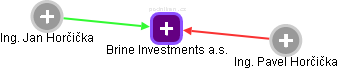 Brine Investments a.s. - obrázek vizuálního zobrazení vztahů obchodního rejstříku