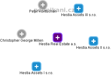 Hestia Real Estate a.s. - obrázek vizuálního zobrazení vztahů obchodního rejstříku