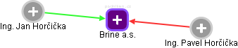 Brine a.s. - obrázek vizuálního zobrazení vztahů obchodního rejstříku
