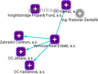 Vernison Real Estate, a.s. - obrázek vizuálního zobrazení vztahů obchodního rejstříku