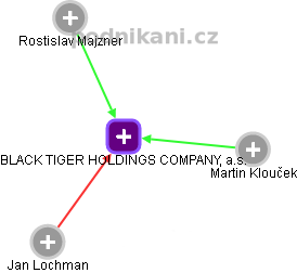 BLACK TIGER HOLDINGS COMPANY, a.s. - obrázek vizuálního zobrazení vztahů obchodního rejstříku