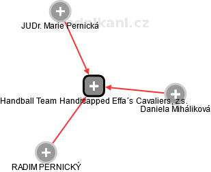 Handball Team Handicapped Effa´s Cavaliers, z.s. - obrázek vizuálního zobrazení vztahů obchodního rejstříku