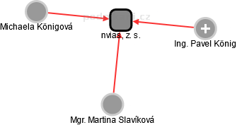 nvias, z. s. - obrázek vizuálního zobrazení vztahů obchodního rejstříku