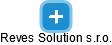 Reves Solution s.r.o. - obrázek vizuálního zobrazení vztahů obchodního rejstříku