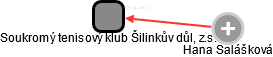 Soukromý tenisový klub Šilinkův důl, z.s. - obrázek vizuálního zobrazení vztahů obchodního rejstříku