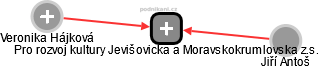 Pro rozvoj kultury Jevišovicka a Moravskokrumlovska z.s. - obrázek vizuálního zobrazení vztahů obchodního rejstříku