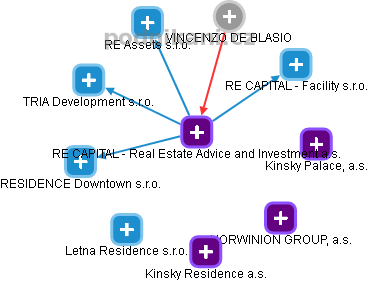 RE CAPITAL - Real Estate Advice and Investment a.s. - obrázek vizuálního zobrazení vztahů obchodního rejstříku