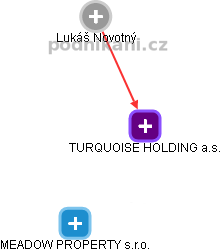 TURQUOISE HOLDING a.s. - obrázek vizuálního zobrazení vztahů obchodního rejstříku
