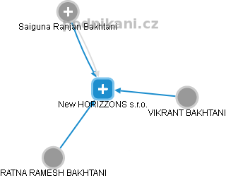 New HORIZZONS s.r.o. - obrázek vizuálního zobrazení vztahů obchodního rejstříku