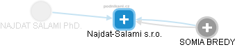 Najdat-Salami s.r.o. - obrázek vizuálního zobrazení vztahů obchodního rejstříku