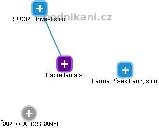 Kapreltan a.s. - obrázek vizuálního zobrazení vztahů obchodního rejstříku