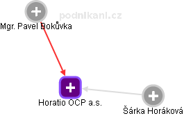Horatio OCP a.s. - obrázek vizuálního zobrazení vztahů obchodního rejstříku