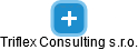 Triflex Consulting s.r.o. - obrázek vizuálního zobrazení vztahů obchodního rejstříku