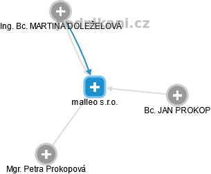 malleo s.r.o. - obrázek vizuálního zobrazení vztahů obchodního rejstříku