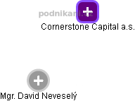 Cornerstone Capital a.s. - obrázek vizuálního zobrazení vztahů obchodního rejstříku