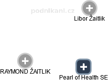 Pearl of Health SE - obrázek vizuálního zobrazení vztahů obchodního rejstříku