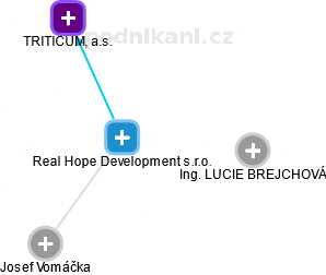 Real Hope Development s.r.o. - obrázek vizuálního zobrazení vztahů obchodního rejstříku