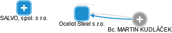 Ocelot Steel s.r.o. - obrázek vizuálního zobrazení vztahů obchodního rejstříku