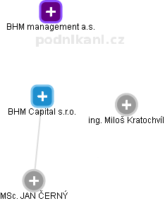 BHM Capital s.r.o. - obrázek vizuálního zobrazení vztahů obchodního rejstříku