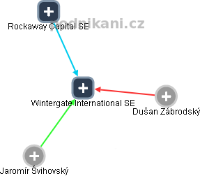 Wintergate International SE - obrázek vizuálního zobrazení vztahů obchodního rejstříku