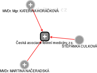 Česká asociace felinní medicíny, z.s. - obrázek vizuálního zobrazení vztahů obchodního rejstříku