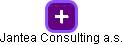 Jantea Consulting a.s. - obrázek vizuálního zobrazení vztahů obchodního rejstříku