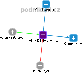 CASCADE Solution a.s. - obrázek vizuálního zobrazení vztahů obchodního rejstříku