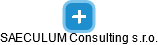 SAECULUM Consulting s.r.o. - obrázek vizuálního zobrazení vztahů obchodního rejstříku