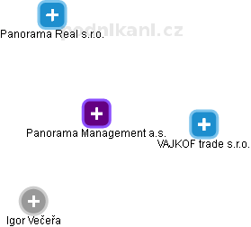 Panorama Management a.s. - obrázek vizuálního zobrazení vztahů obchodního rejstříku