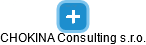 CHOKINA Consulting s.r.o. - obrázek vizuálního zobrazení vztahů obchodního rejstříku