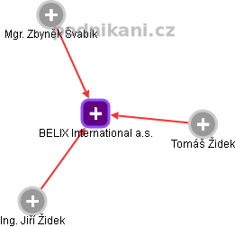 BELIX International a.s. - obrázek vizuálního zobrazení vztahů obchodního rejstříku