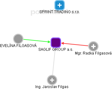 SAGLIF GROUP a.s. - obrázek vizuálního zobrazení vztahů obchodního rejstříku