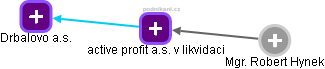 active profit a.s. v likvidaci - obrázek vizuálního zobrazení vztahů obchodního rejstříku