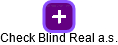 Check Blind Real a.s. - obrázek vizuálního zobrazení vztahů obchodního rejstříku