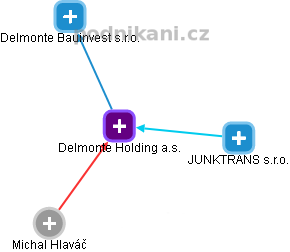 Delmonte Holding a.s. - obrázek vizuálního zobrazení vztahů obchodního rejstříku