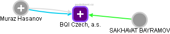 BQI Czech, a.s. - obrázek vizuálního zobrazení vztahů obchodního rejstříku
