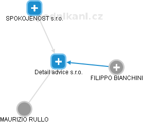 Detail advice s.r.o. - obrázek vizuálního zobrazení vztahů obchodního rejstříku