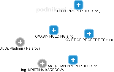 TOMASIN HOLDING s.r.o. - obrázek vizuálního zobrazení vztahů obchodního rejstříku