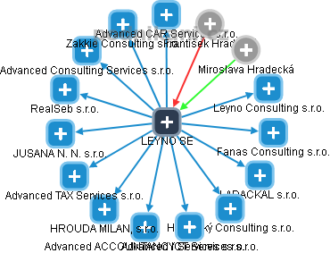 LEYNO SE - obrázek vizuálního zobrazení vztahů obchodního rejstříku