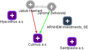 Culmus a.s. - obrázek vizuálního zobrazení vztahů obchodního rejstříku