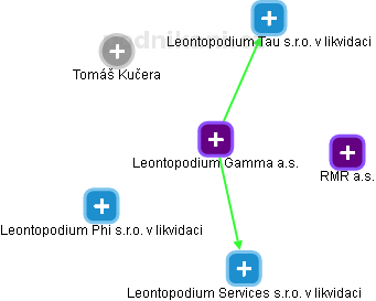 Leontopodium Gamma a.s. - obrázek vizuálního zobrazení vztahů obchodního rejstříku