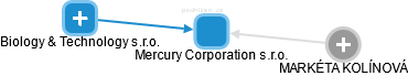 Mercury Corporation s.r.o. - obrázek vizuálního zobrazení vztahů obchodního rejstříku