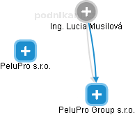 PeluPro Group s.r.o. - obrázek vizuálního zobrazení vztahů obchodního rejstříku