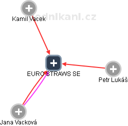 EURO STRAWS SE - obrázek vizuálního zobrazení vztahů obchodního rejstříku